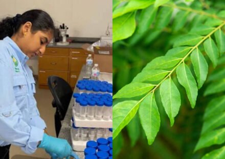 Meet Tanishka Aglave, the 17-year-old Valrico, Florida student who built a curry leaf treatment, steam system and AI tool to fight citrus greening; she won $50,000