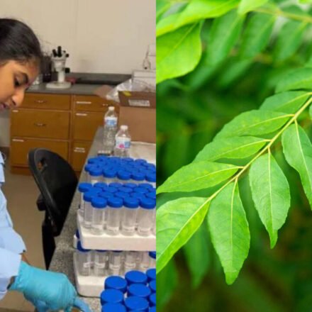 Meet Tanishka Aglave, the 17-year-old Valrico, Florida student who built a curry leaf treatment, steam system and AI tool to fight citrus greening; she won $50,000