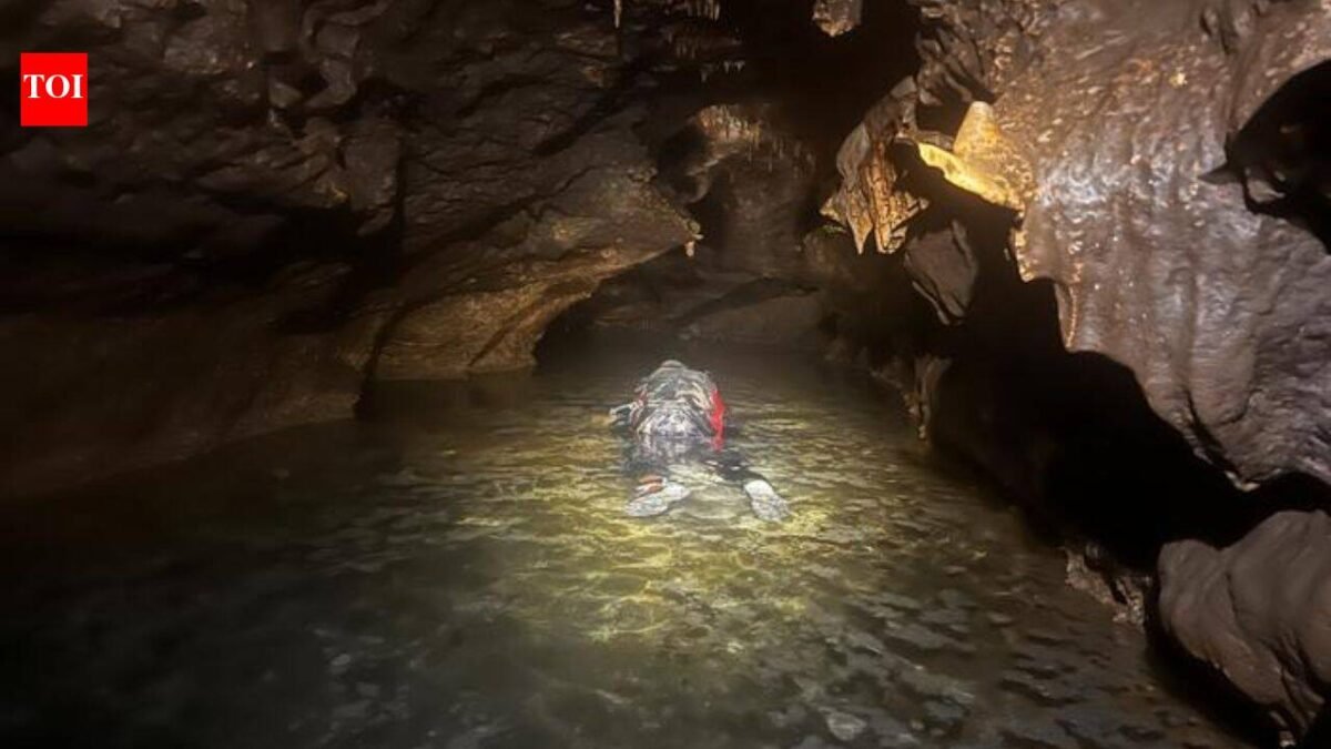 Meet John Moretti: The Texas palaeontologist who put on a wetsuit to search an underwater cave and found Ice Age animals beneath the water