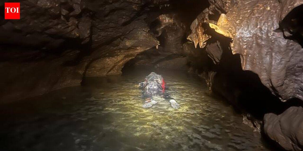 Meet John Moretti: The Texas palaeontologist who put on a wetsuit to search an underwater cave and found Ice Age animals beneath the water