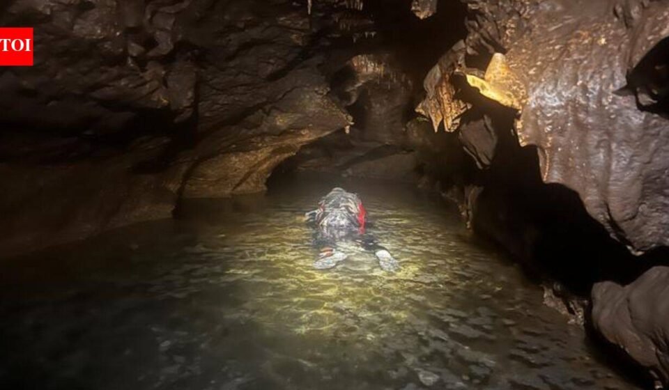 Meet John Moretti: The Texas palaeontologist who put on a wetsuit to search an underwater cave and found Ice Age animals beneath the water