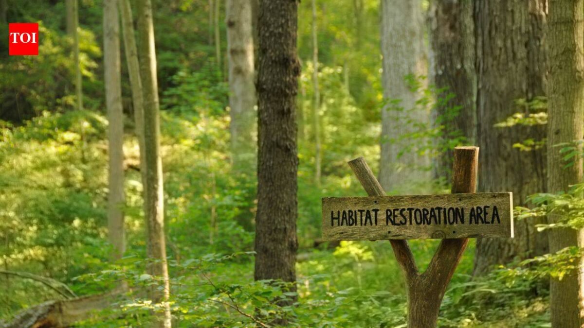 An anonymous donor gave Cincinnati $1.8 million to restore 228 acres of forest; the 5-year project is the city's biggest park reforestation effort in nearly 100 years