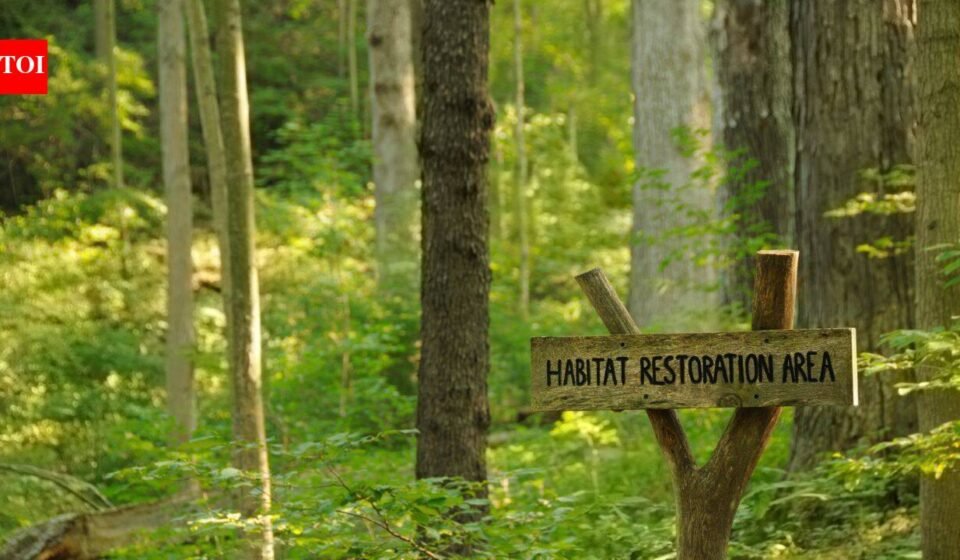 An anonymous donor gave Cincinnati $1.8 million to restore 228 acres of forest; the 5-year project is the city's biggest park reforestation effort in nearly 100 years