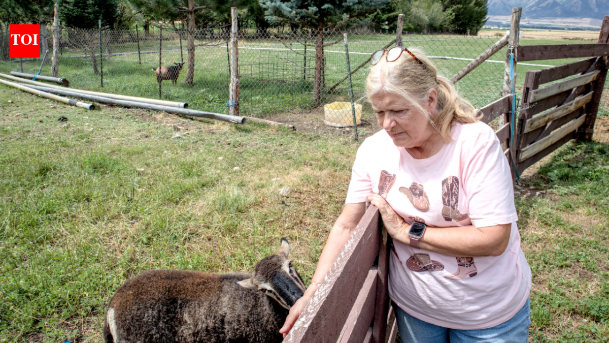 A Utah couple spent 14 years trying to stop their 25.5-acre farm from becoming another subdivision; the land is now permanently protected from development even as homes spread around it