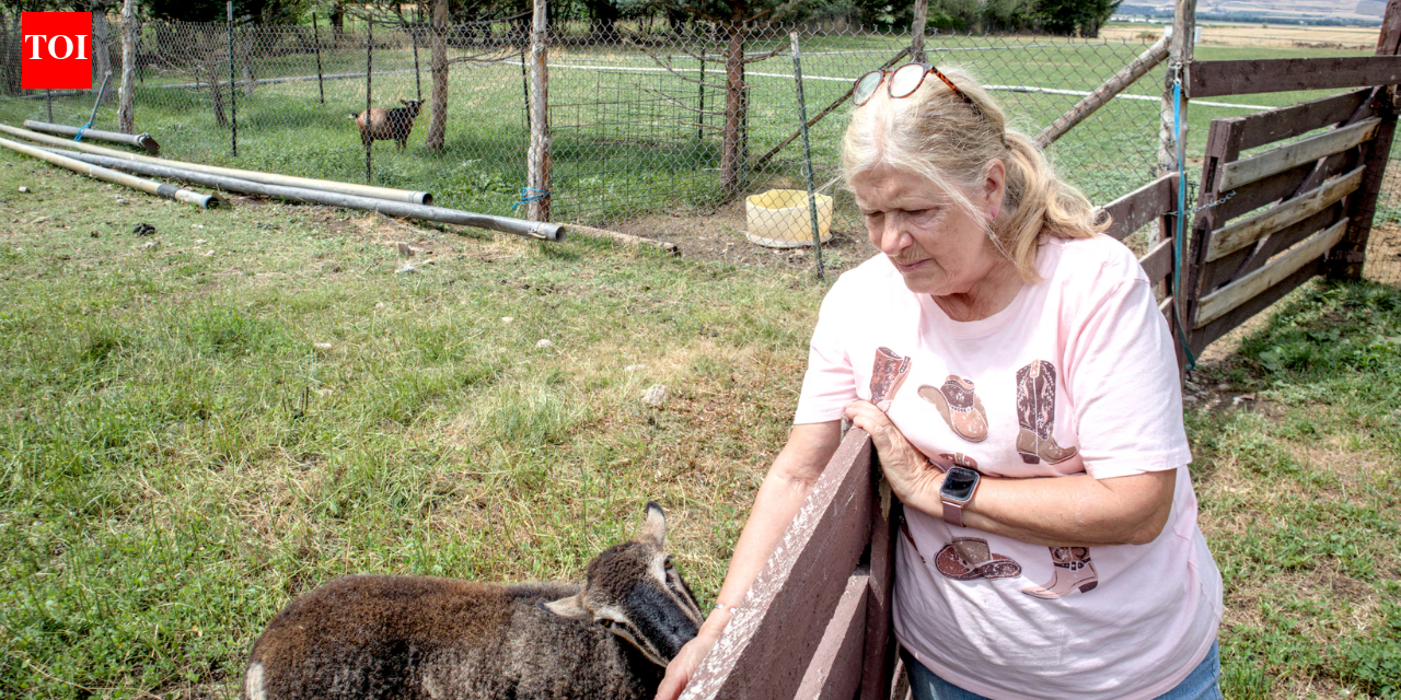 A Utah couple spent 14 years trying to stop their 25.5-acre farm from becoming another subdivision; the land is now permanently protected from development even as homes spread around it