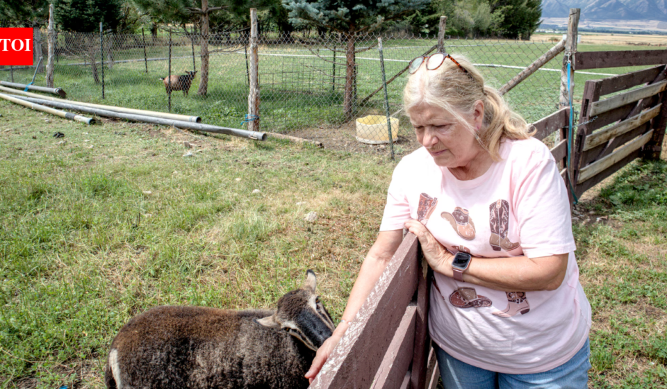 A Utah couple spent 14 years trying to stop their 25.5-acre farm from becoming another subdivision; the land is now permanently protected from development even as homes spread around it