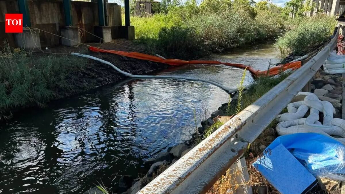 5,000 gallons of diesel spill from Equinix data centre in Secaucus into Anderson Creek; cleanup underway in New Jersey Meadowlands, Hackensack Riverkeeper seeks natural resource damages