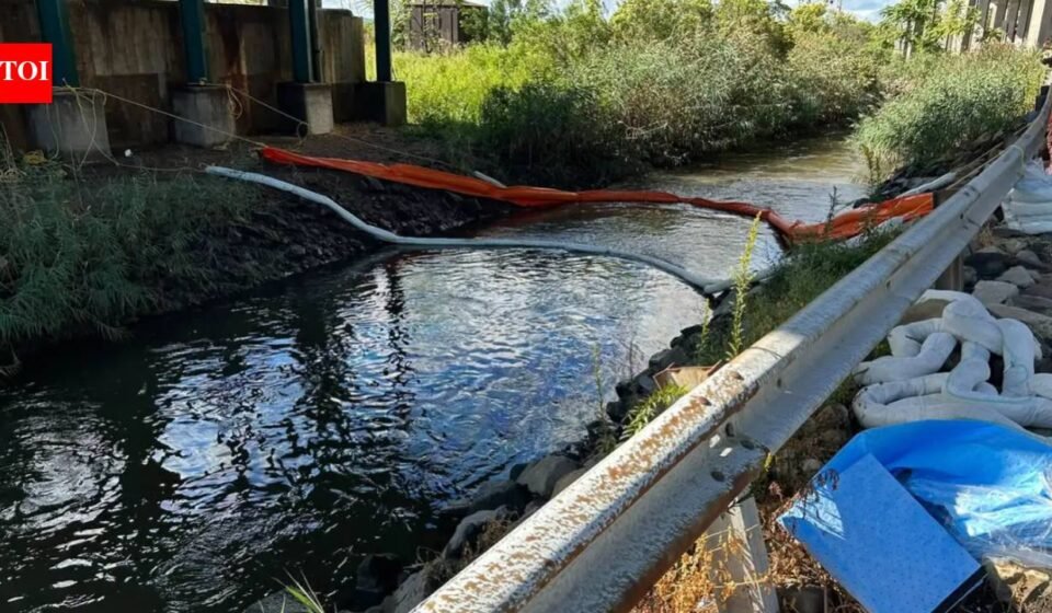 5,000 gallons of diesel spill from Equinix data centre in Secaucus into Anderson Creek; cleanup underway in New Jersey Meadowlands, Hackensack Riverkeeper seeks natural resource damages