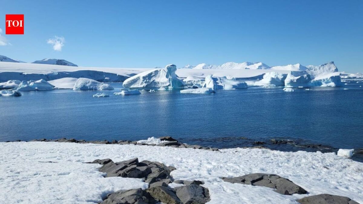 Greenland and Antarctica have lost 11,309 billion tonnes of ice between 1979 and 2023, raising sea levels by 31.4 mm; glaciers drive 84% of loss, surface melting 16%