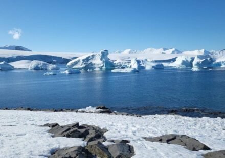 Greenland and Antarctica have lost 11,309 billion tonnes of ice between 1979 and 2023, raising sea levels by 31.4 mm; glaciers drive 84% of loss, surface melting 16%