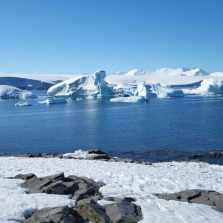 Greenland and Antarctica have lost 11,309 billion tonnes of ice between 1979 and 2023, raising sea levels by 31.4 mm; glaciers drive 84% of loss, surface melting 16%