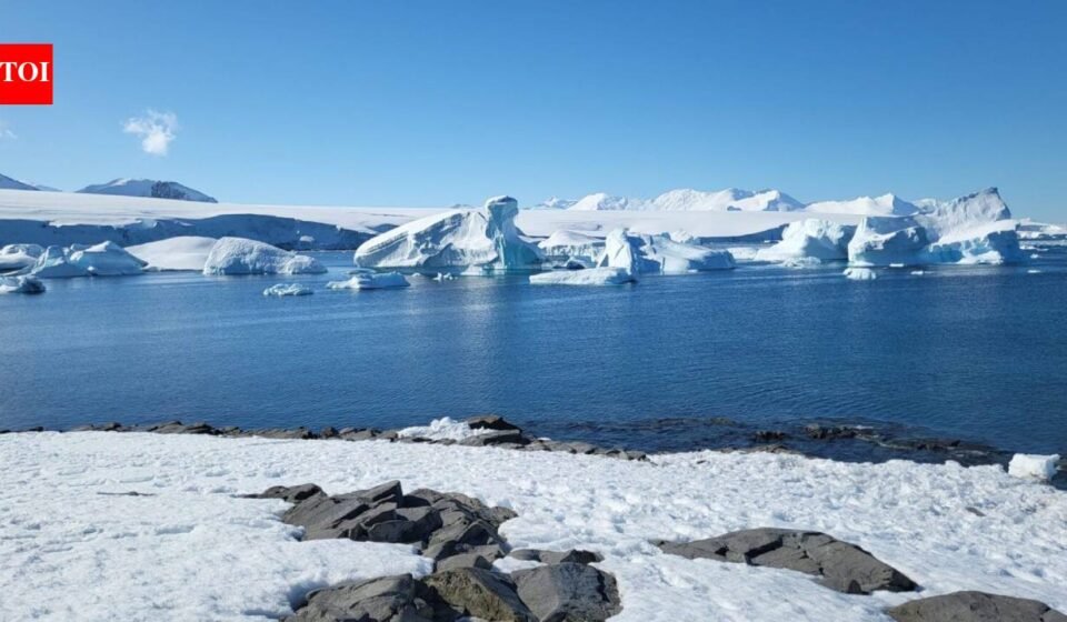 Greenland and Antarctica have lost 11,309 billion tonnes of ice between 1979 and 2023, raising sea levels by 31.4 mm; glaciers drive 84% of loss, surface melting 16%