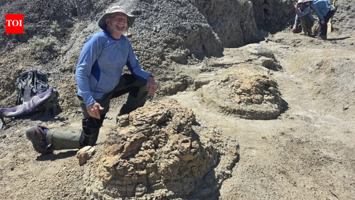 High school teacher searching for fossils discovers four footprints later confirmed as first reported T. rex trackway, dating back 66.5 million years