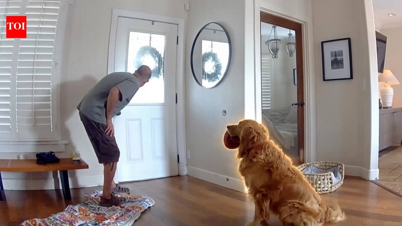 ​An intruder breaks into a San Diego home, but Golden Retriever Nash keeps offering him toys; then police arrive, and the dog has the same plan, all caught on camera