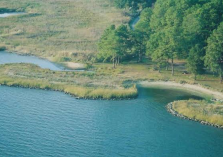 In 2002, concrete rubble from Baltimore’s demolished Memorial Stadium was reused in a Maryland living shoreline; the project restored 400 feet of coast and created two acres of tidal wetlands