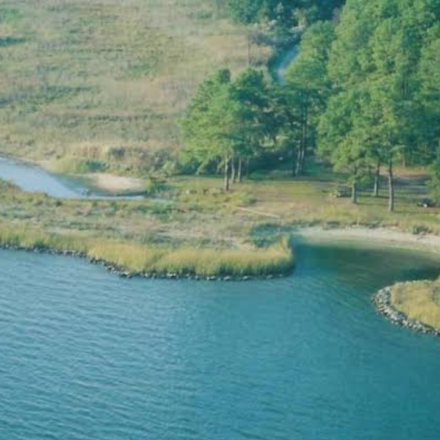 In 2002, concrete rubble from Baltimore’s demolished Memorial Stadium was reused in a Maryland living shoreline; the project restored 400 feet of coast and created two acres of tidal wetlands