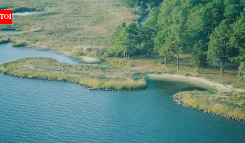 In 2002, concrete rubble from Baltimore’s demolished Memorial Stadium was reused in a Maryland living shoreline; the project restored 400 feet of coast and created two acres of tidal wetlands
