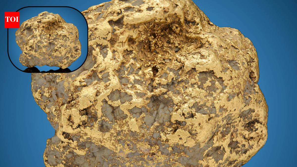In 1998, Alaska miner Barry Clay was pushing dirt with a bulldozer near Ruby when he uncovered a 294.1-ounce gold nugget; 23 years later, the state's largest recorded nugget sold for $750,000