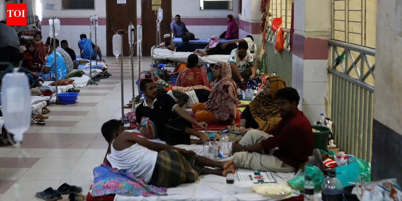 ‘Treated on floor, verandah’: Dhaka hospitals struggle to find space for dengue patients