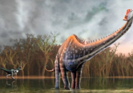 North America loses its monopoly on dinosaur fossils; fourteen tail vertebrae just turned up in Spain and experts have identified it as Diplodocus