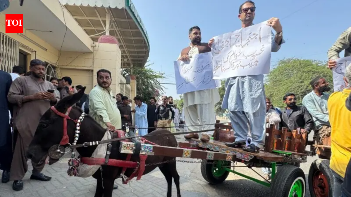 'Can't afford petrol': Pakistan PTI lawmakers ride donkey carts to assembly in protest