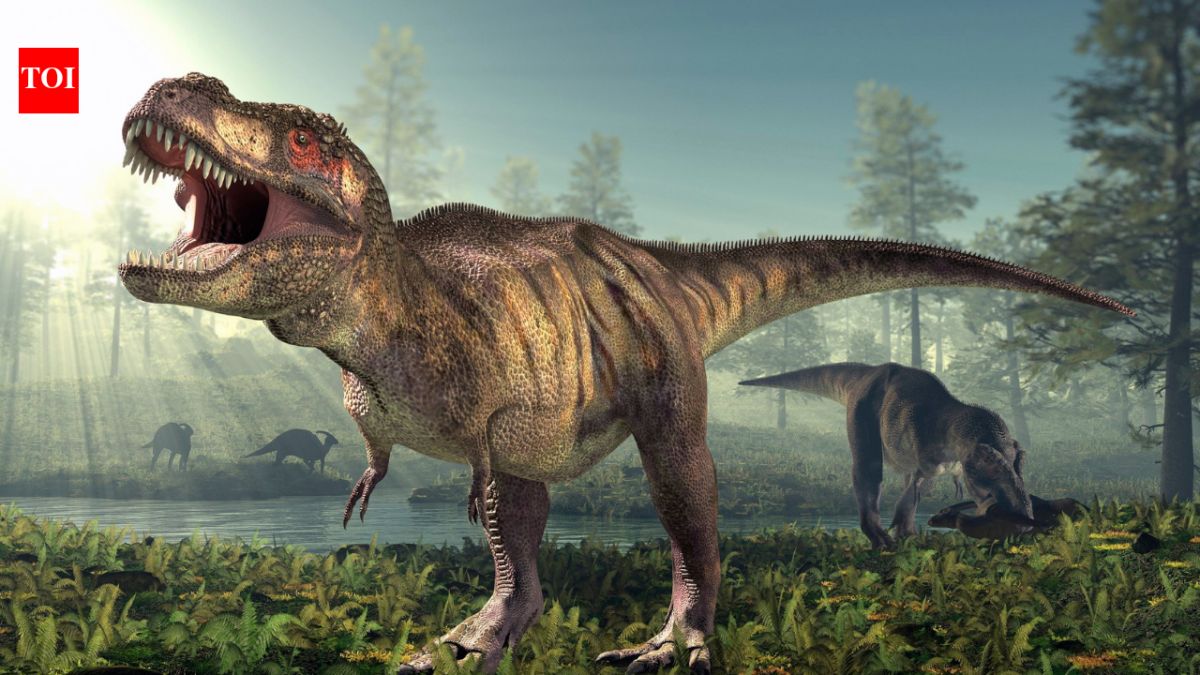 T. rex had a body temperature of 36.3°C, almost the same as humans; fossil tooth chemistry reveals the 66-million-year-old predator was warm-blooded and could survive in cold climates