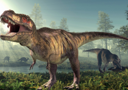 T. rex had a body temperature of 36.3°C, almost the same as humans; fossil tooth chemistry reveals the 66-million-year-old predator was warm-blooded and could survive in cold climates