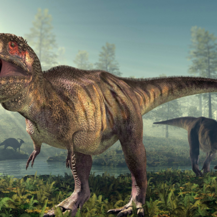 T. rex had a body temperature of 36.3°C, almost the same as humans; fossil tooth chemistry reveals the 66-million-year-old predator was warm-blooded and could survive in cold climates