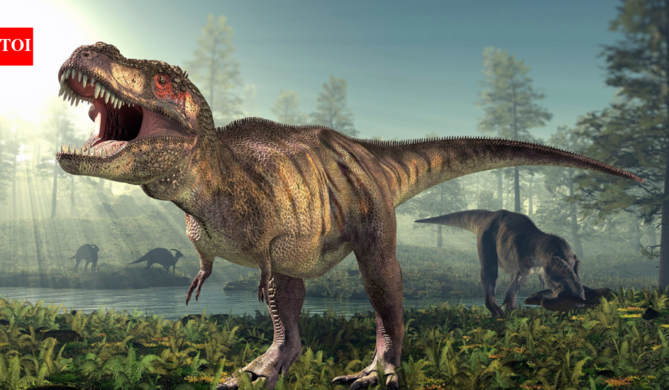 T. rex had a body temperature of 36.3°C, almost the same as humans; fossil tooth chemistry reveals the 66-million-year-old predator was warm-blooded and could survive in cold climates