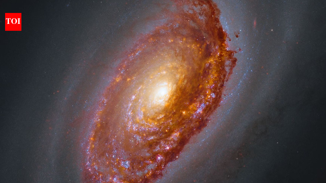 NASA’s Webb telescope captured the Black Eye Galaxy in unprecedented detail; its opposing gas streams reveal a violent cosmic past