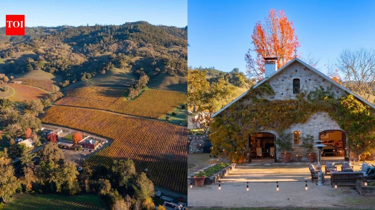Nearly 20 years after Dreyer’s Ice Cream CEO T. Gary Rogers bought 151 acres in Napa, his family discovered an 1887 winery hidden on the property; they planted vineyards, built a home, and the estate now asks $35 million