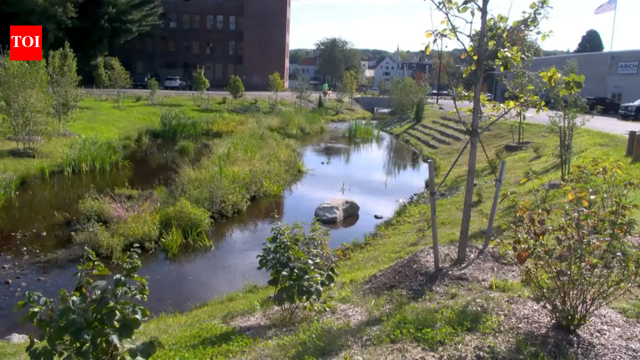 For half a century, Massachusetts' Mill Brook ran beneath a downtown parking lot; Athol has now uncovered it, created 12,000 sq ft of wetlands and turned 53,000 sq ft of pavement into vegetation