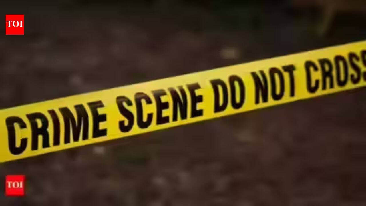 South Africa mass shooting: 11 killed, three injured in KwaMakhutha township