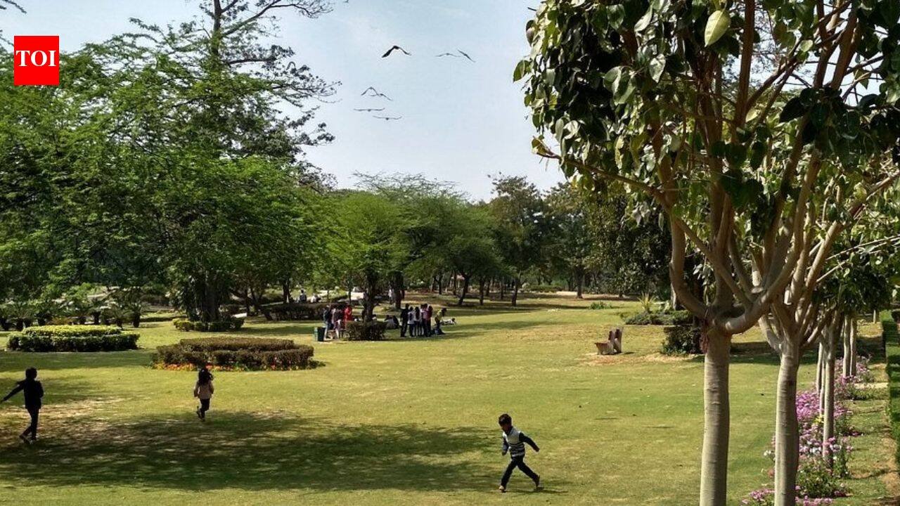‘Asif bhai gun nikal’: Delhi gang rape victim recounts chilling birthday ordeal in park, claims men held knife to her neck