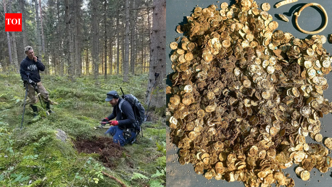 A man using a metal detector near a Finnish village finds more than 4,000 Viking Age silver coins in two birch-bark containers buried 39 feet apart