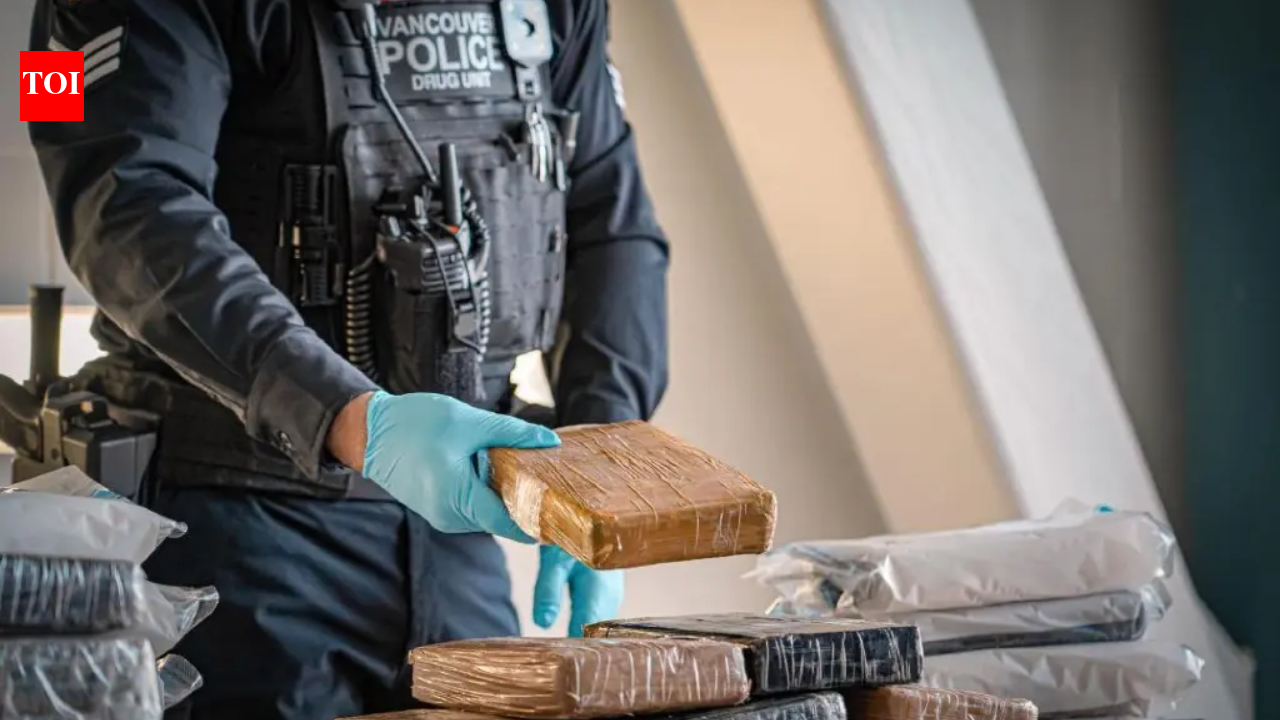 Vancouver workers opened a shipping container of T-shirts and found 14 duffle bags holding 329kg of cocaine worth C$5.8 million; police say it is the city's largest-ever cocaine seizure