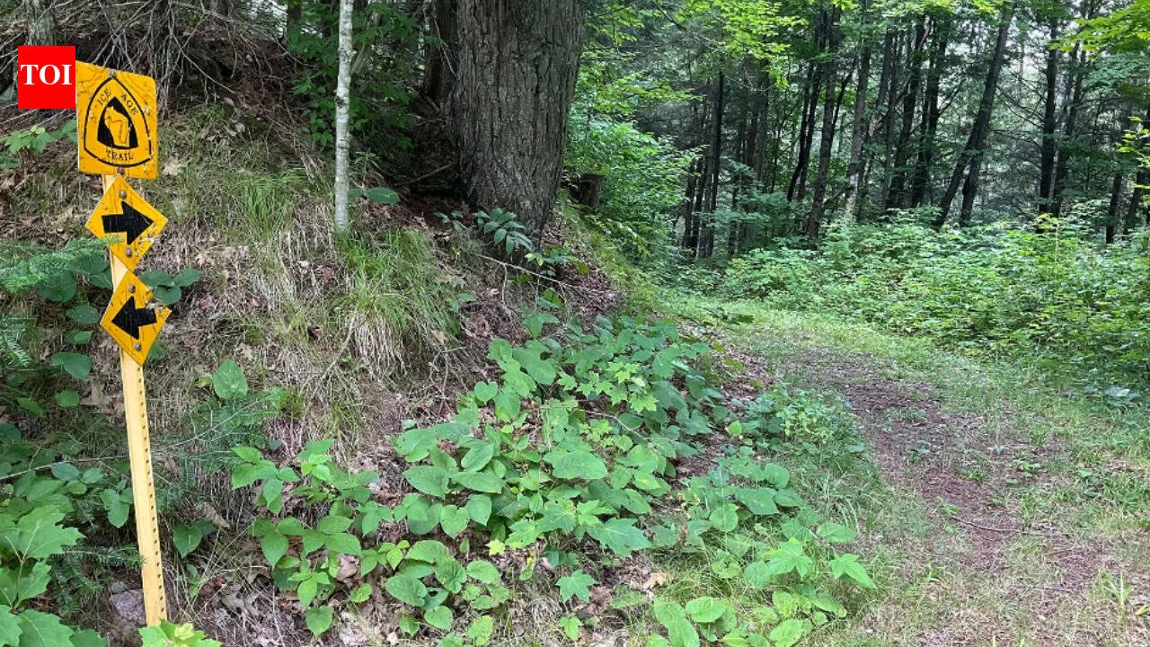 A Wisconsin family will keep owning and logging nearly 1,800 forest acres while a $1.6 million deal permanently blocks development and opens almost 1,500 acres to hikers, hunters and anglers
