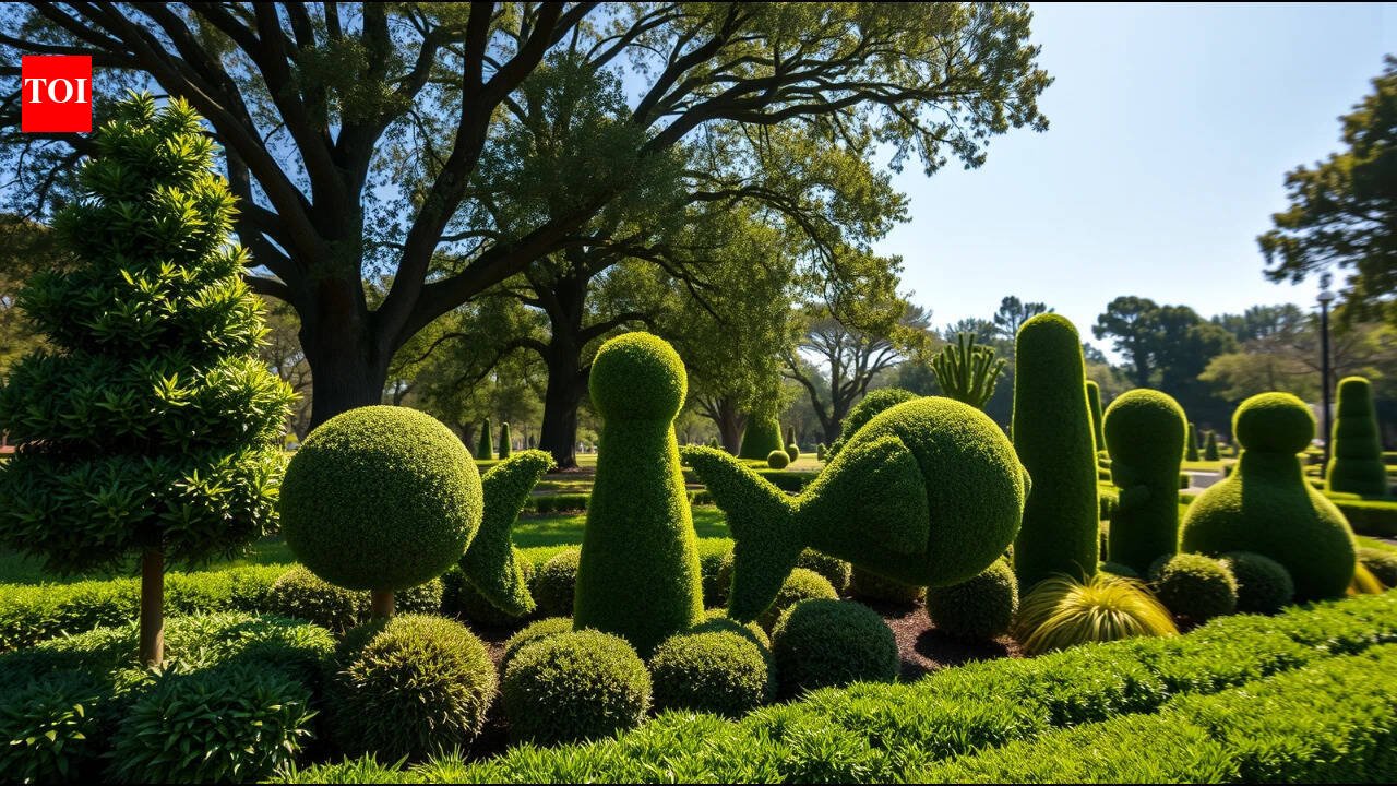 Nurseries discarded unwanted plants; Pearl Fryar rescued them and spent decades turning them into a three-acre sculpture garden