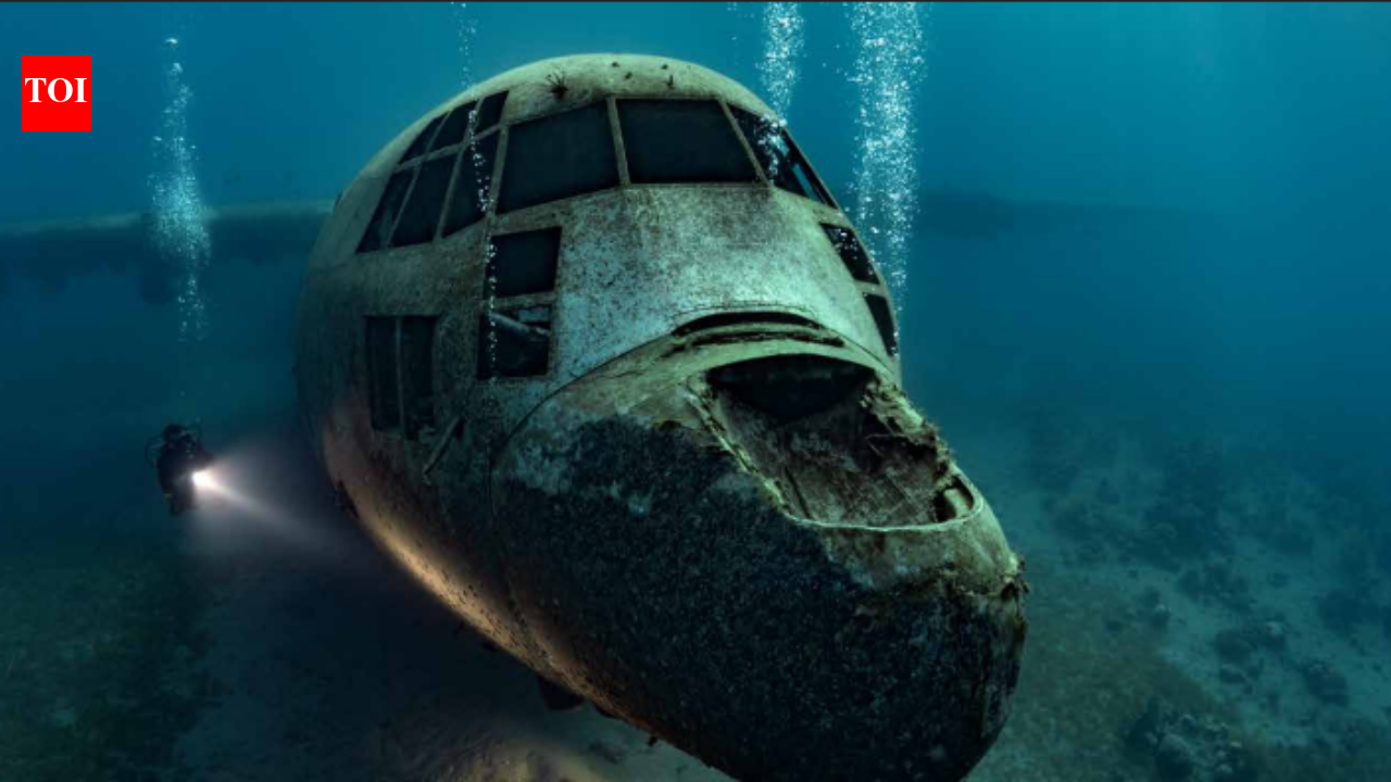 In 2017, Jordan sank a retired 30-metre C-130 Hercules off Aqaba to create an artificial reef; the aircraft now rests about 16 metres underwater and attracts coral, fish and other marine life