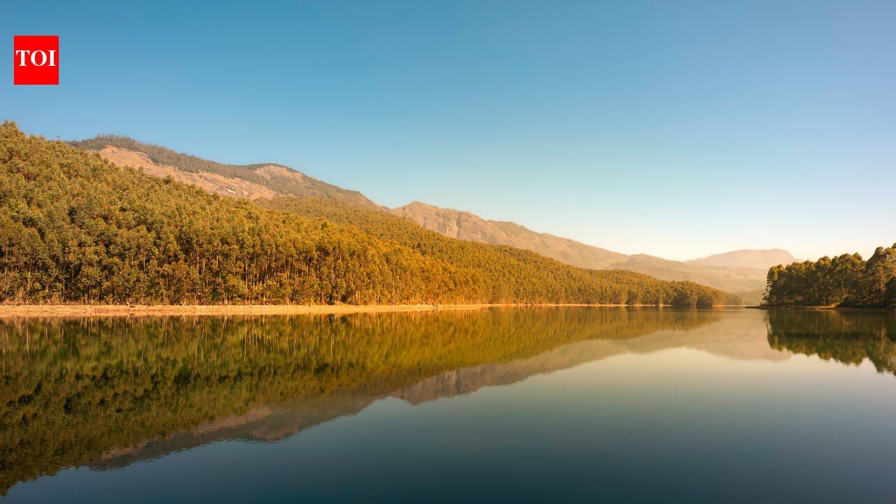 Ontario will permanently protect 969 acres at Echo Lake, where more than 400 wildlife species are already documented; the land is planned to return to Garden River First Nation stewardship within five years
