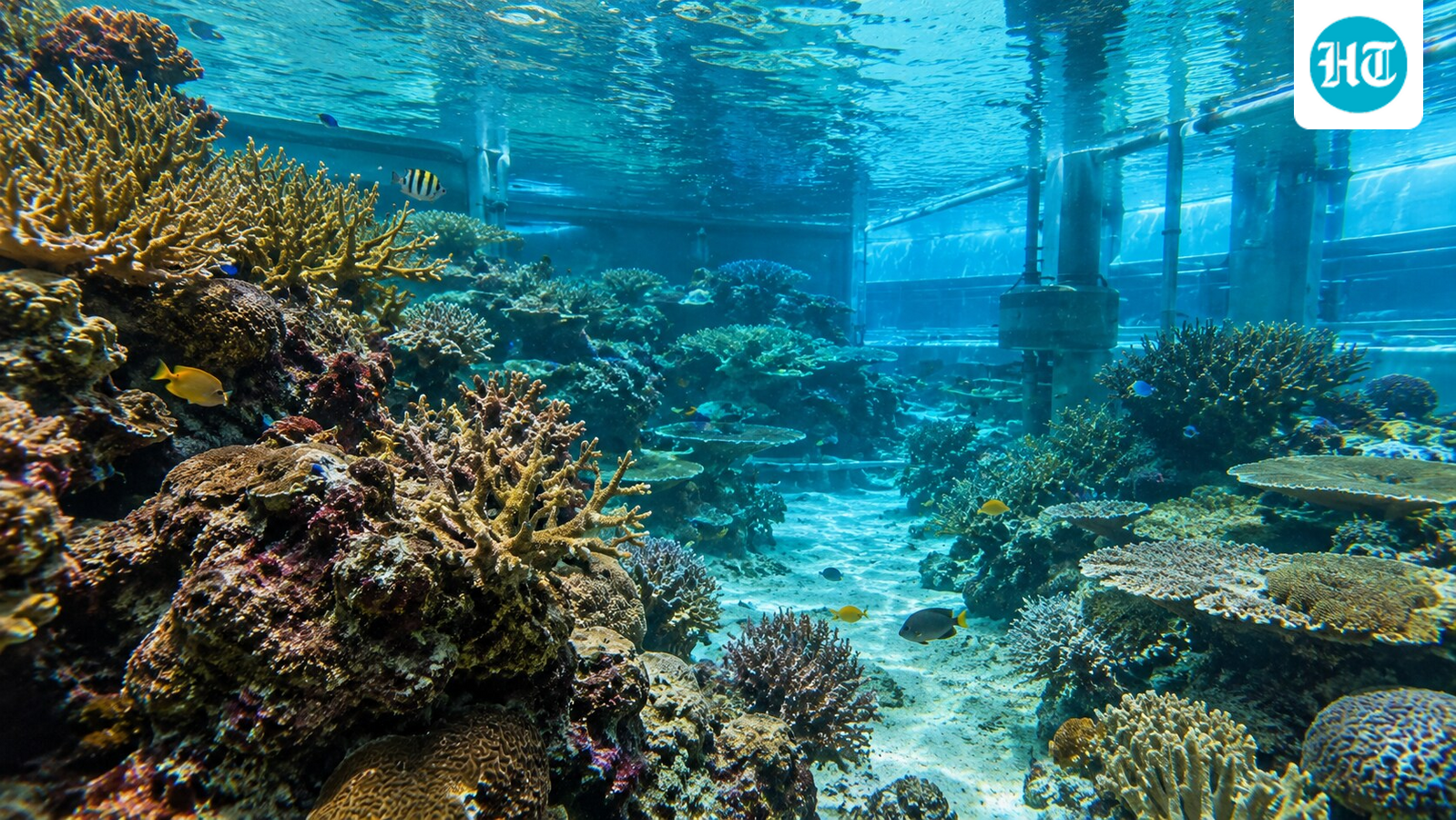 After decades without new corals, researchers introduced 108 coral fragments into Biosphere 2’s 2.6-million-liter ocean habitat. (AI-generated/ ChatGPT)