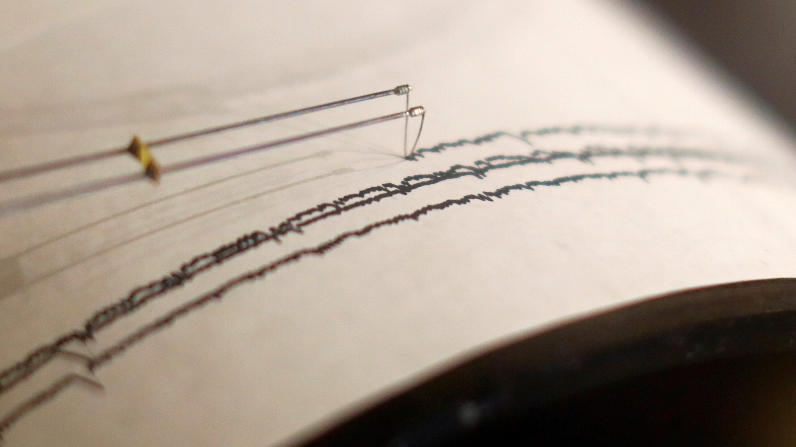 A magnitude 4.0 earthquake struck near Lake Pillsbury in Northern California shortly after 5 a.m. Wednesday. (REUTERS)