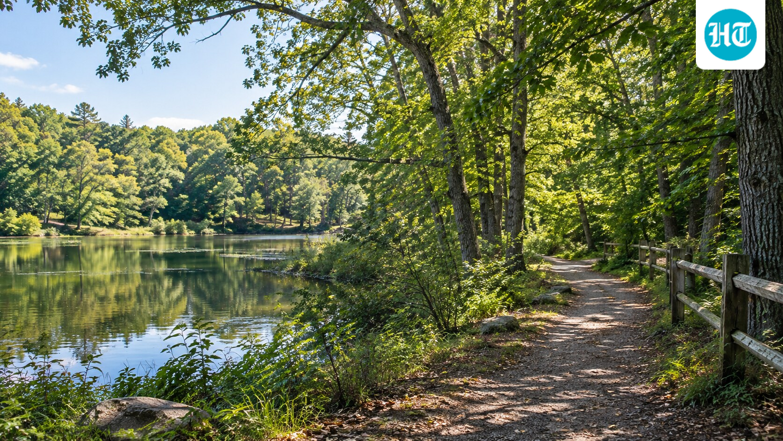 Westport combined 7.5 acres donated by Paul Newman’s family with an adjoining 29.9-acre parcel purchased from the Poses family to create the Newman-Poses Nature Preserve. Adopted in 2010, the preserve protects woodland for public recreation, with trails and limited parking but no buildings. (AI-generated/ ChatGPT)