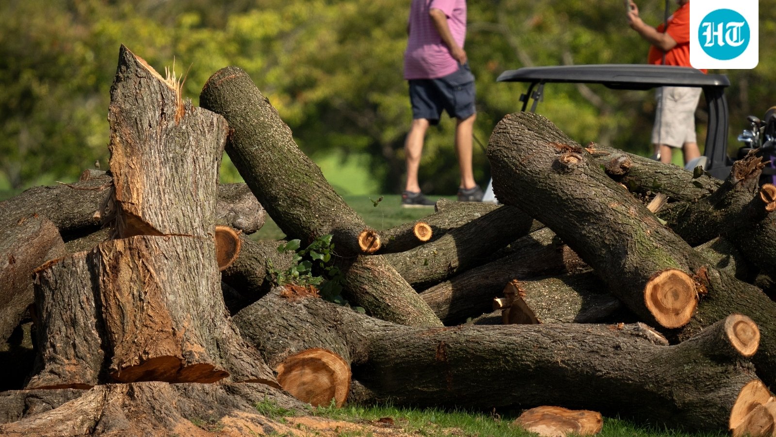 Golfers tee off near log sections cut and tree stumps at the East Potomac Golf Links in Washington. (AP Photo/Mark Schiefelbein)