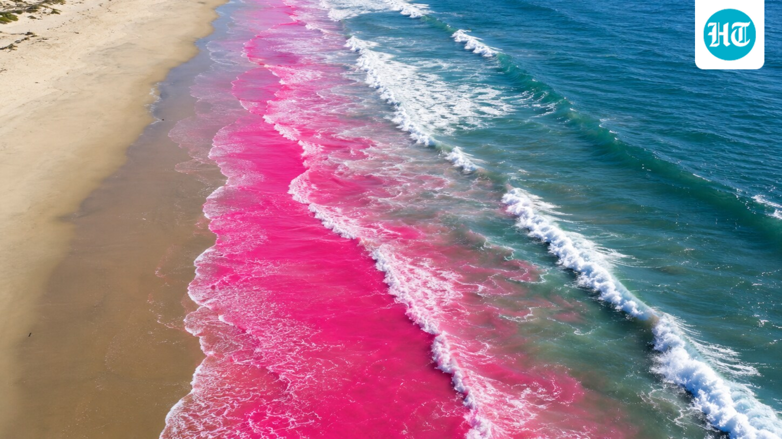 Researchers used bright pink dye as a stand-in for pollution in a 2015 coastal experiment. (AI-generated/ChatGPT)
