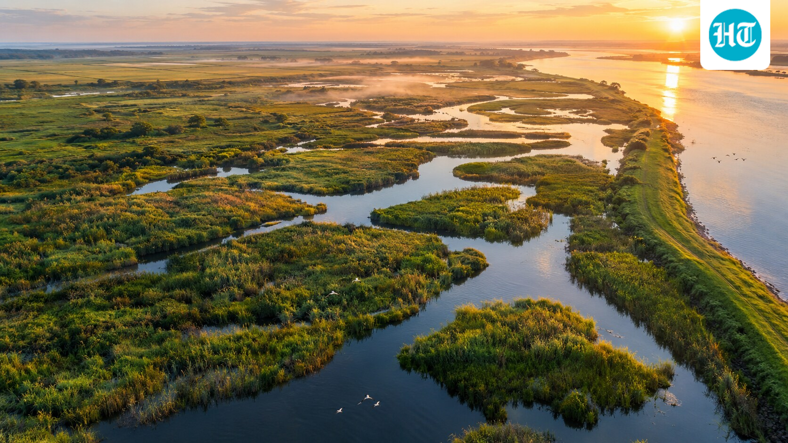 Representative image of a restored tidal marsh in the Sacramento-San Joaquin Delta, where young salmon find food and shelter. (AI-generated/ChatGPT)