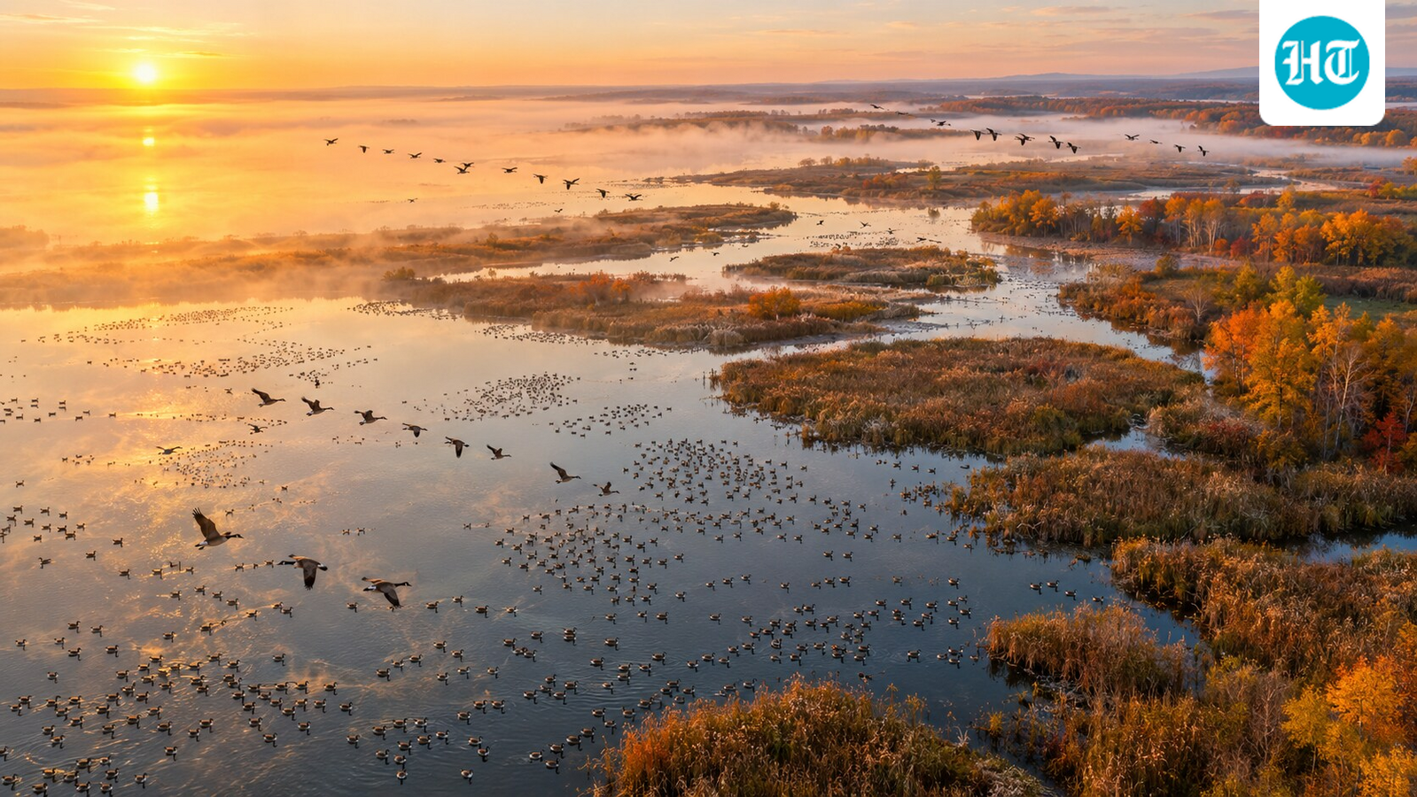 From a drained and abandoned marsh to a refuge for wildlife, the comeback took decades. (AI-generated/ChatGPT)