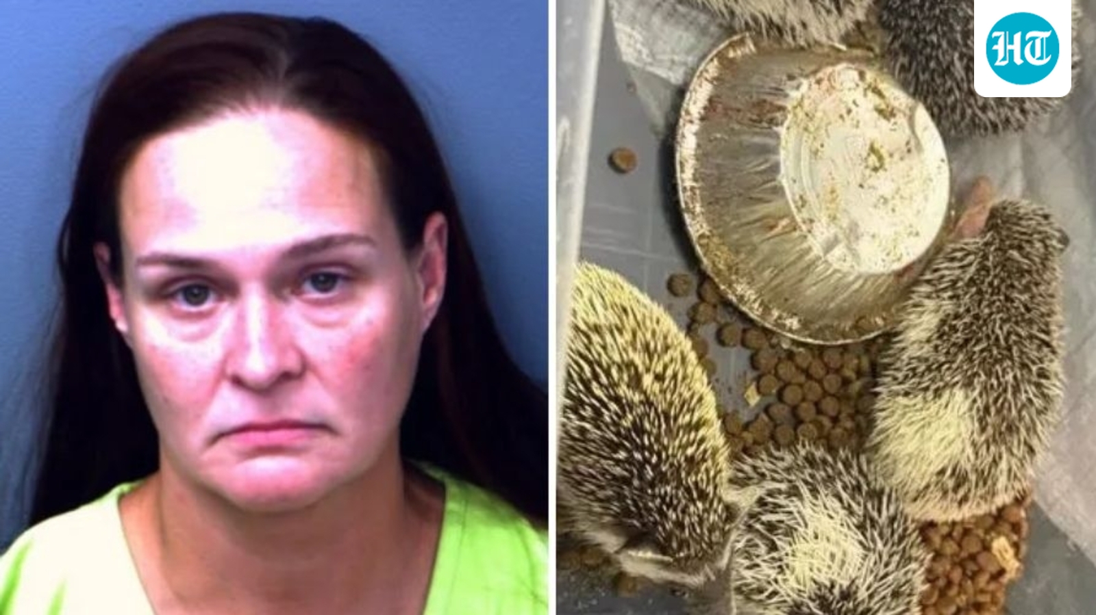 Kelli Pinnock: Woman arrested after El Paso traffic stop leads to discovery of 72 exotic animals (El Paso County Sheriff Oscar Ugarte/Facebook, EPCSO )