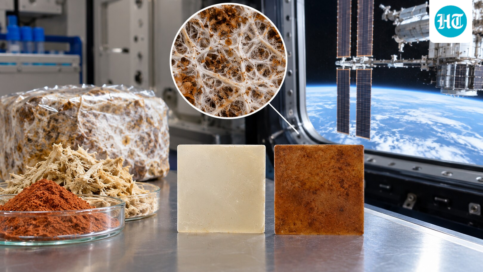 Representative image showing fungal-based composite materials alongside plant-derived plastic samples in an orbital laboratory setting. (AI-generated/ ChatGPT)