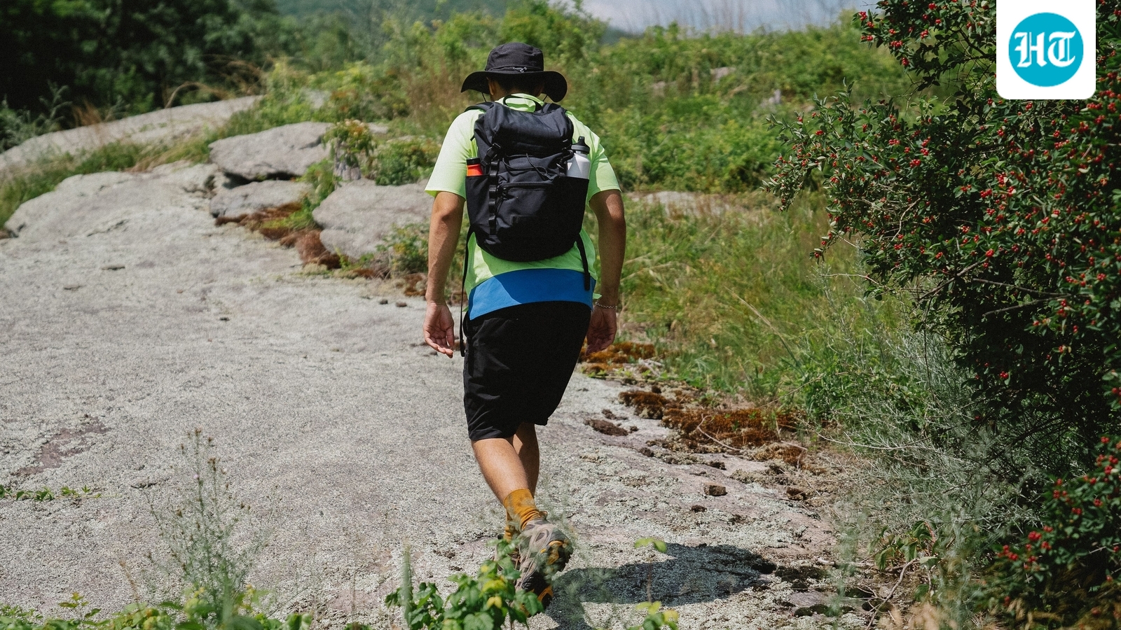 University of Cincinnati, 21, student found dead after tragic hiking accident in West Virginia (Pexel - representational image)